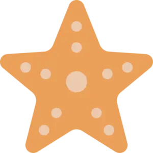 Icone d'une étoile de mer aux couleurs de mon agence web