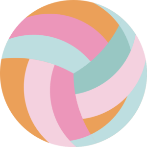 Icone de balle de volleyball aux couleurs de mon agence web