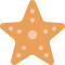 Icone d'une étoile de mer aux couleurs de mon agence web